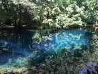 Jardin bleu