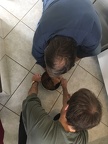 Les crânes sont chauves (presque) pareil !