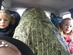 Une forêt a poussé dans la voiture