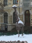 Girafe sous la neige